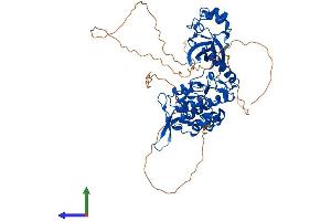 AlphaFold protein structure predicition of Human Recombinant DYRK3 Protein, UniprotID O43781
