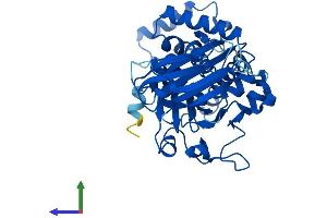 AlphaFold protein structure predicition of Human Recombinant SEC14L6 Protein, UniprotID B5MCN3