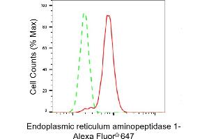 Flow cytometric analysis of Endoplasmic reticulum aminopeptidase 1 expression in HT- cells using Endoplasmic reticulum aminopeptidase 1 antibody (ABIN7798442), 1:2,000).