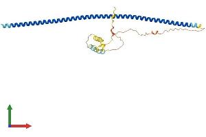 AlphaFold protein structure predicition of Mouse Recombinant Krt222 Protein, UniprotID Q8CCX5 (KRT222 Protein (AA 1-294) (His tag))
