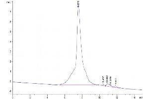 Size-exclusion chromatography-High Pressure Liquid Chromatography (SEC-HPLC) image for Tumor Necrosis Factor Receptor Superfamily, Member 11b (TNFRSF11B) (AA 22-401) protein (His tag) (ABIN7275769)