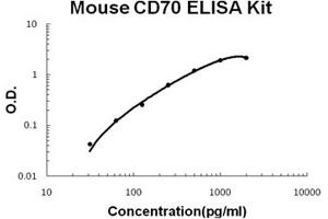 Mouse CD70/TNFSF7/cd27L PicoKine ELISA Kit standard curve (CD70 ELISA Kit)