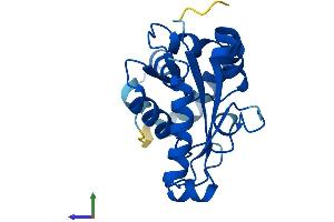 Protein Structure (PS) image for Phosphomevalonate Kinase (PMVK) (AA 1-192) protein (His tag) (ABIN7550857)