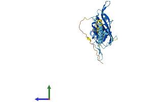 Protein Structure (PS) image for Potassium Inwardly-Rectifying Channel, Subfamily J, Member 15 (KCNJ15) (AA 1-375) protein (His tag) (ABIN7562691)