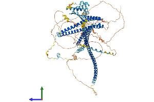 AlphaFold protein structure predicition of Human Recombinant JMY Protein, UniprotID Q8N9B5