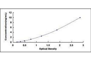 Chemokine (C-X-C Motif) Receptor 1 (CXCR1) ELISA Kit