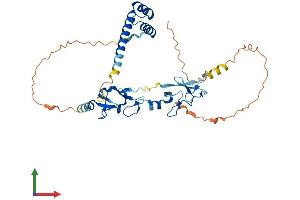 AlphaFold protein structure predicition of Mouse Recombinant Isl2 Protein, UniprotID Q9CXV0 (ISL2 Protein (AA 1-359) (His tag))