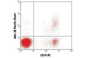 Flow Cytometry (FACS) image for Mouse anti-Human Ig (Light Chain) antibody (Pacific Blue) (ABIN2667175) (Mouse anti-Human Ig (Light Chain) Antibody (Pacific Blue))