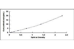 Typical standard curve (RYR2 ELISA Kit)