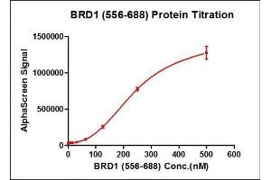 Activity Assay (AcA) image for Bromodomain Containing 1 (BRD1) (AA 556-688) protein (His tag,DYKDDDDK Tag) (ABIN2669686)