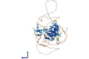 AlphaFold protein structure predicition of Human Recombinant OTUD7B Protein, UniprotID Q6GQQ9 (OTUD7B Protein (AA 1-843) (His tag))