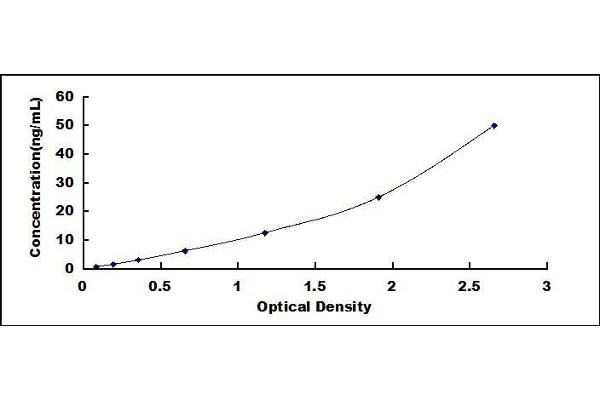 PIK3C3 ELISA Kit