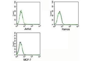 FACS testing of Rabbit IgG isotype control antibody FITC conjugate on human samples.