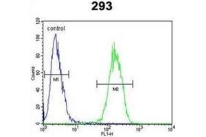 Flow cytometric analysis of 293 cells using Interleukin-17F / IL17F Antibody (N-term) Cat. (IL17F antibody  (N-Term))