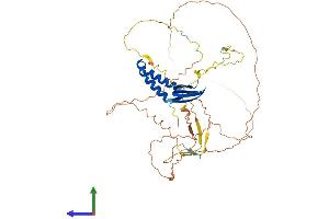 AlphaFold protein structure predicition of Mouse Recombinant Gtf2a1l Protein, UniprotID Q8R4I4