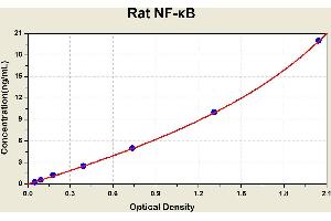 Diagramm of the ELISA kit to detect Rat NF-? (NFKB1 ELISA Kit)