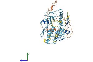 Protein Structure (PS) image for Zinc Finger Protein 763 (ZNF763) (AA 1-394) protein (His tag) (ABIN7545494)