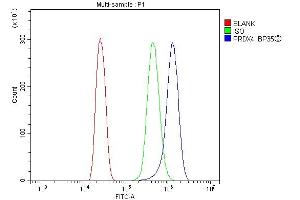 Flow Cytometry analysis of MCF-7 cells using anti-Peroxiredoxin 4 antibody (ABIN3043905). (Peroxiredoxin 4 antibody  (C-Term))