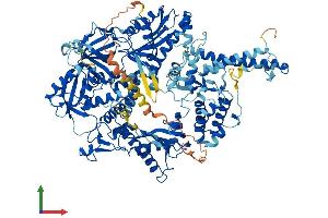 AlphaFold protein structure predicition of Human Recombinant POLD1 Protein, UniprotID P28340