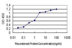 Detection limit for recombinant GST tagged ICOSLG is approximately 0. (ICOSLG antibody  (AA 20-302))