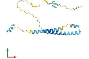 Protein Structure (PS) image for Integrin beta 3 Binding Protein (Beta3-Endonexin) (ITGB3BP) (AA 1-176) protein (His tag) (ABIN7564937)