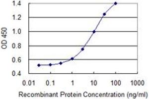 Detection limit for recombinant GST tagged PREP is 0. (PREP antibody  (AA 611-710))