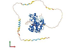 AlphaFold protein structure predicition of Human Recombinant HS3ST4 Protein, UniprotID Q9Y661 (HS3ST4 Protein (AA 1-456) (His tag))