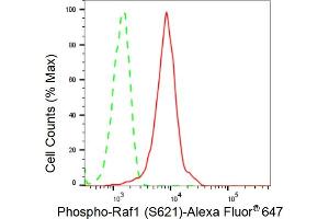 Flow cytometric analysis of Phospho-Raf1 (S621) expression in HeLa cells using Phospho-Raf1 (S621) antibody (ABIN7800799), 1:2,000). (Recombinant RAF1 antibody  (pSer621))