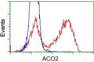 Image no. 2 for anti-Aconitase 2, Mitochondrial (ACO2) antibody (ABIN1496411)