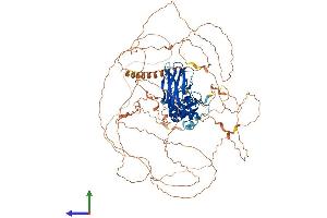 AlphaFold protein structure predicition of Human Recombinant ZMIZ2 Protein, UniprotID Q8NF64 (ZMIZ2 Protein (AA 1-920) (His tag))