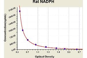 Diagramm of the ELISA kit to detect Rat NADPHwith the optical density on the x-axis and the concentration on the y-axis.