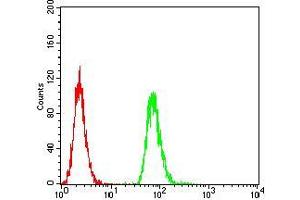 Flow cytometric analysis of MCF-7 cells using HLA-DRA mouse mAb (green) and negative control (red). (HLA-DRA antibody  (AA 26-254))