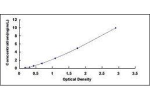 Fibroblast Growth Factor Receptor 3 (FGFR3) ELISA Kit