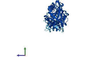 Protein Structure (PS) image for Tetratricopeptide Repeat Domain 5 (TTC5) (AA 1-440) protein (His tag) (ABIN7544819)