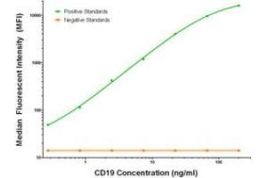 Luminex Assay (LMNX) image for anti-CD19 Molecule (CD19) antibody (ABIN2717399) (CD19 antibody)
