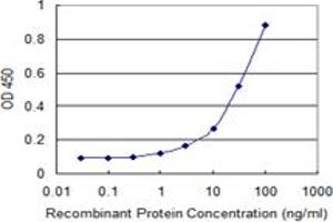 Detection limit for recombinant GST tagged CALCOCO2 is 1 ng/ml as a capture antibody. (CALCOCO2 antibody  (AA 347-446))