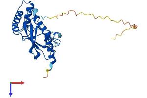 AlphaFold protein structure predicition of Human Recombinant UBE2R2 Protein, UniprotID Q712K3 (UBE2R2 Protein (AA 1-238) (His tag))