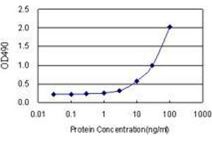 Sandwich ELISA detection sensitivity ranging from 3 ng/mL to 100 ng/mL. (EGFL7 (Human) Matched Antibody Pair)