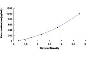 G-CSF ELISA Kit