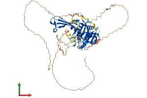 AlphaFold protein structure predicition of Human Recombinant USP17L18 Protein, UniprotID D6R9N7 (USP17L18 Protein (AA 1-530) (His tag))