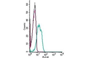Cell surface detection of Cholecystokinin B receptor by indirect flow cytometry in live intact human Jurkat T-cell leukemia cells:  + goat-anti-rabbit-PE. (CCKBR antibody  (Extracellular))