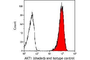 Flow Cytometry (FACS) image for anti-V-Akt Murine Thymoma Viral Oncogene Homolog 1 (AKT1) (AA 100-150) antibody (ABIN7795633) (Recombinant AKT1 antibody  (AA 100-150))