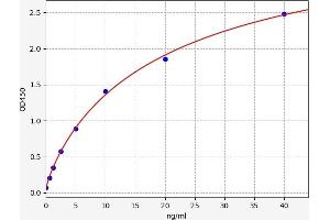 Typical standard curve (Fibrillin 2 ELISA Kit)