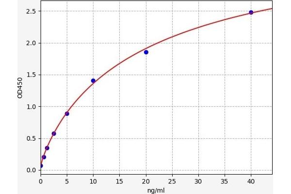 Fibrillin 2 ELISA Kit