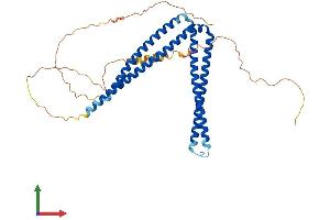 AlphaFold protein structure predicition of Human Recombinant SH3BP5L Protein, UniprotID Q7L8J4 (SH3BP5L Protein (AA 1-393) (His tag))