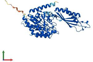 AlphaFold protein structure predicition of Mouse Recombinant Pm20d2 Protein, UniprotID A3KG59 (PM20D2 Protein (AA 1-431) (His tag))