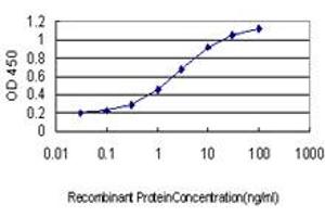 Detection limit for recombinant GST tagged SNX1 is approximately 0. (Sorting Nexin 1 antibody  (AA 166-275))
