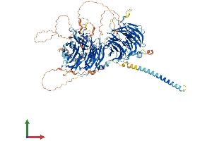 AlphaFold protein structure predicition of Human Recombinant STXBP5L Protein, UniprotID Q9Y2K9 (STXBP5L Protein (AA 1-1186) (His tag))