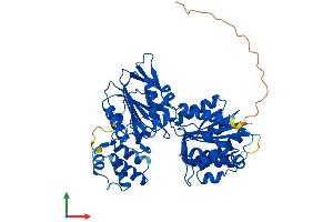 AlphaFold protein structure predicition of Mouse Recombinant Glyctk Protein, UniprotID Q8QZY2 (GLYCTK Protein (AA 1-523) (His tag))