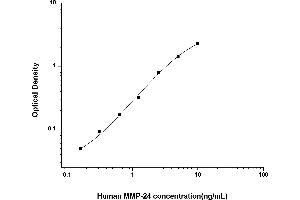 MMP24 ELISA Kit